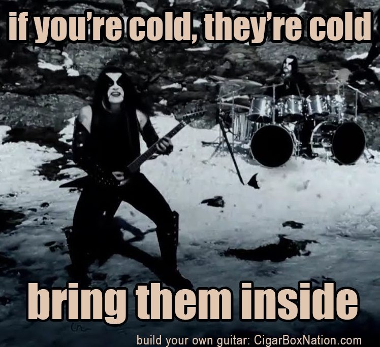 immortal cold